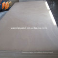 Waterproof Melamine Eucalyptus Plywood High Quality Best Price